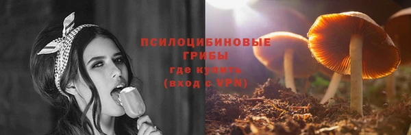 круглые Няндома