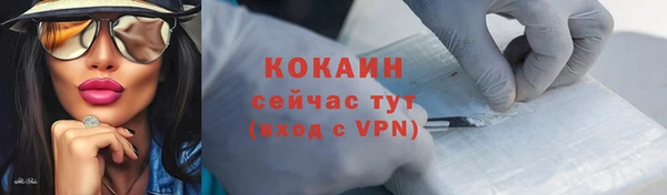 a pvp Новозыбков