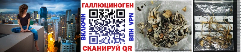 Псилоцибиновые грибы Psilocybine cubensis  Лодейное Поле 